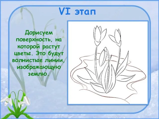 VI этап Дорисуем поверхность, на которой растут цветы. Это будут волнистые линии, изображающую землю.