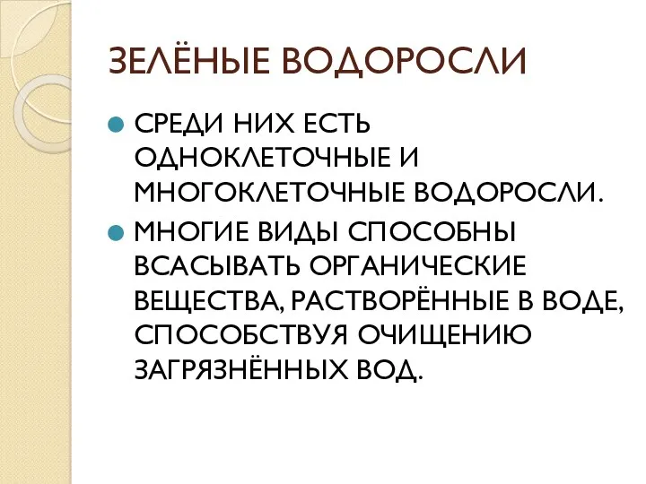 ЗЕЛЁНЫЕ ВОДОРОСЛИ СРЕДИ НИХ ЕСТЬ ОДНОКЛЕТОЧНЫЕ И МНОГОКЛЕТОЧНЫЕ ВОДОРОСЛИ. МНОГИЕ