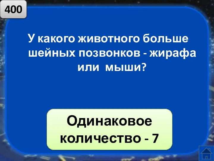 У какого животного больше шейных позвонков - жирафа или мыши? Одинаковое количество - 7 400