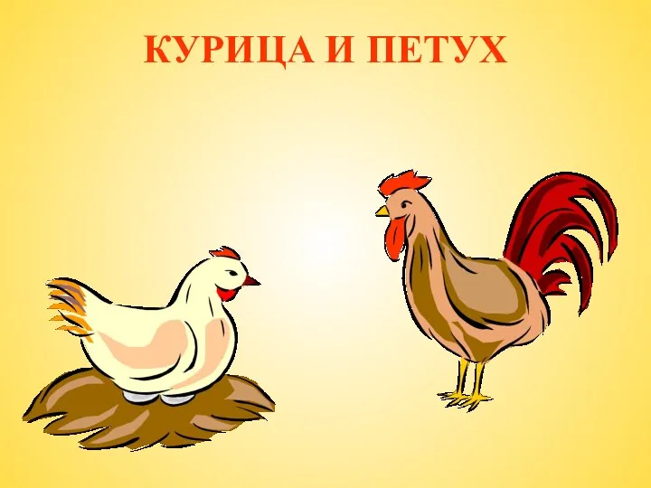 КУРИЦА И ПЕТУХ