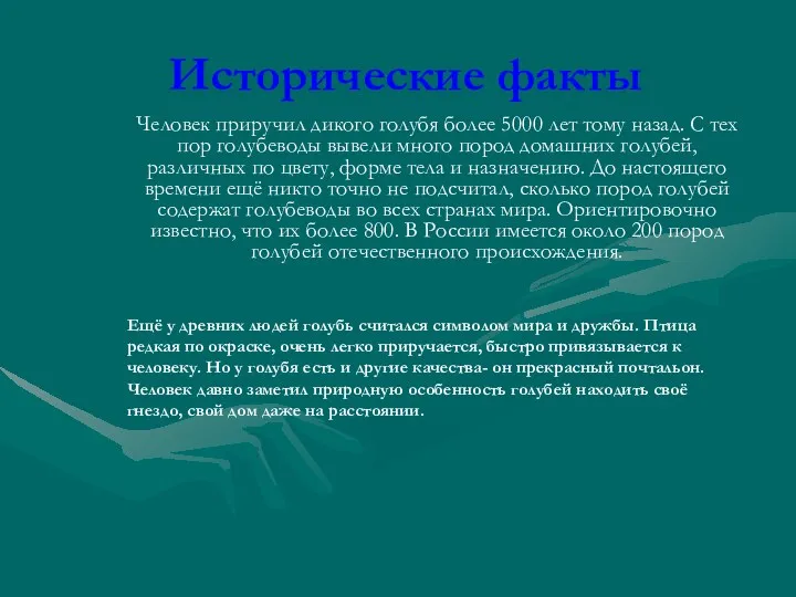 Исторические факты Человек приручил дикого голубя более 5000 лет тому