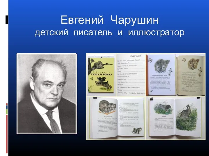 Евгений Чарушин детский писатель и иллюстратор