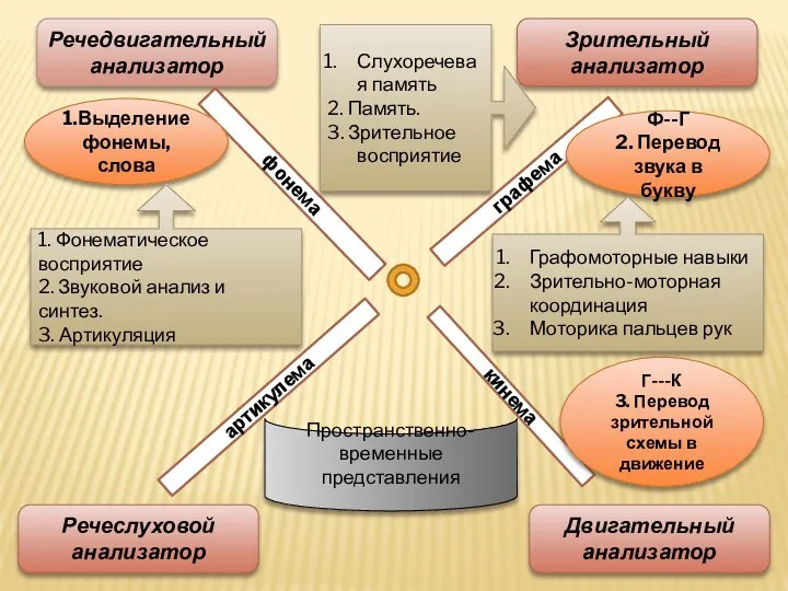 Речедвигательный анализатор Зрительный анализатор Речеслуховой анализатор Двигательный анализатор графема фонема