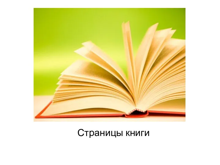 Страницы книги