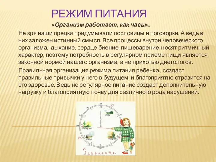 Режим питания «Организм работает, как часы». Не зря наши предки придумывали пословицы и