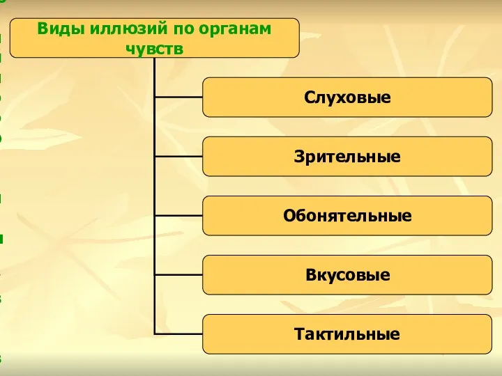 Виды иллюзий по органам чувств