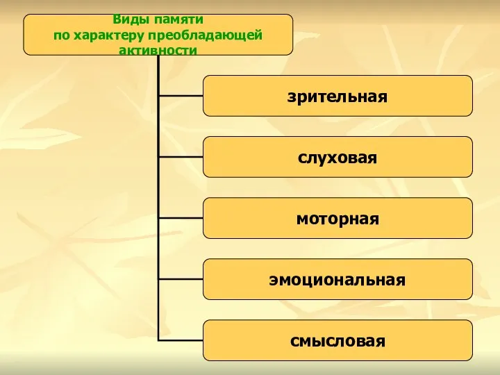 Виды памяти по характеру преобладающей активности