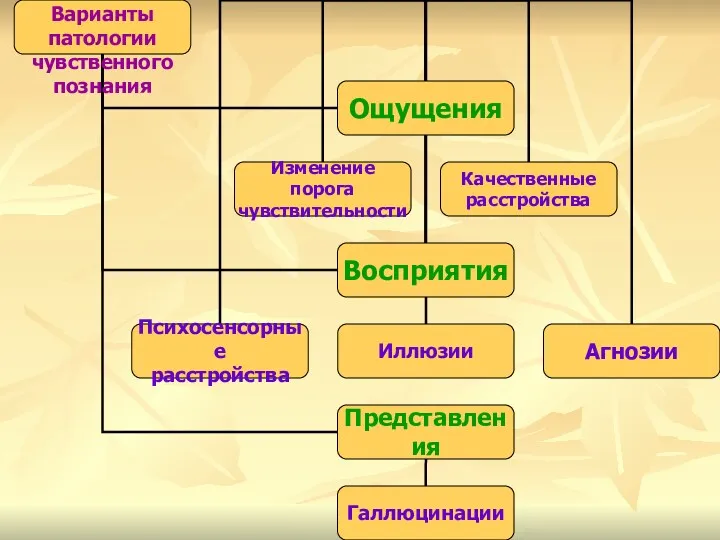 Варианты патологии чувственного познания