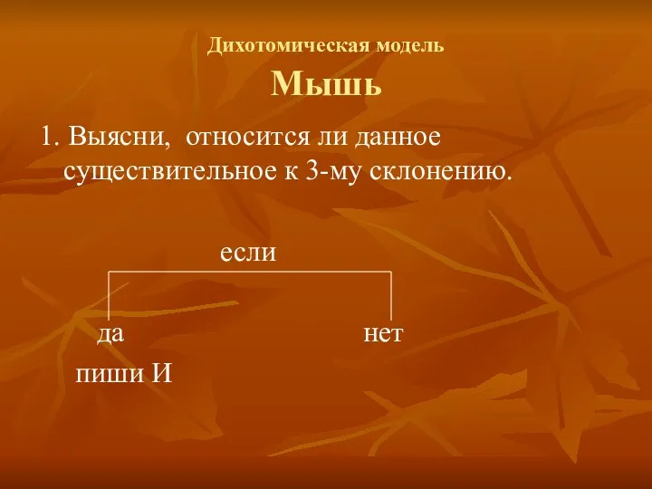 Дихотомическая модель Мышь 1. Выясни, относится ли данное существительное к