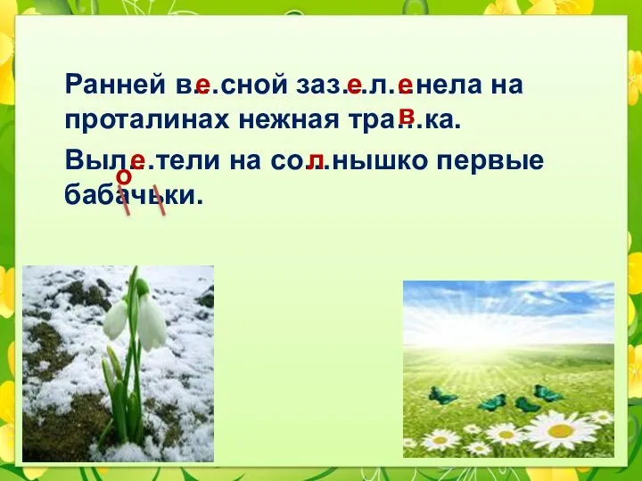 Ранней в…сной заз…л…нела на проталинах нежная тра…ка. Выл…тели на со…нышко