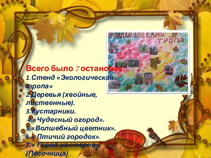 Всего было 7 остановок: 1.Стенд «Экологическая тропа» 2.Деревья (хвойные, лиственные).