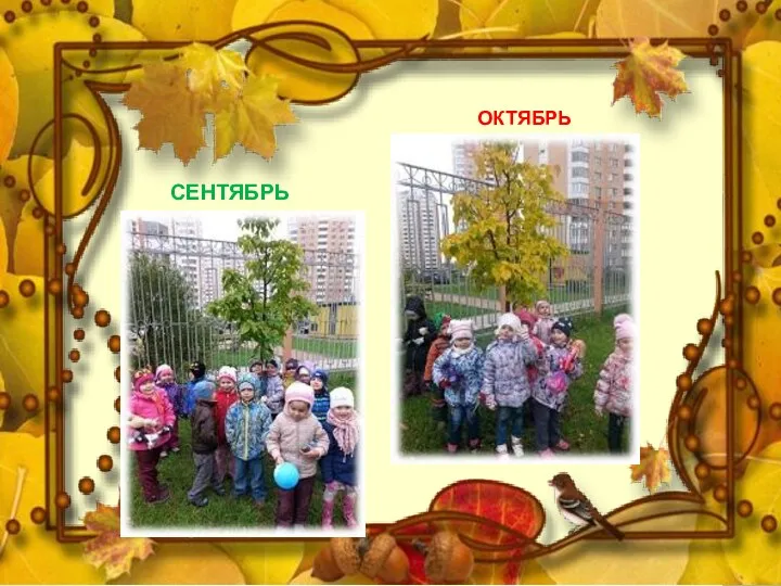 СЕНТЯБРЬ ОКТЯБРЬ