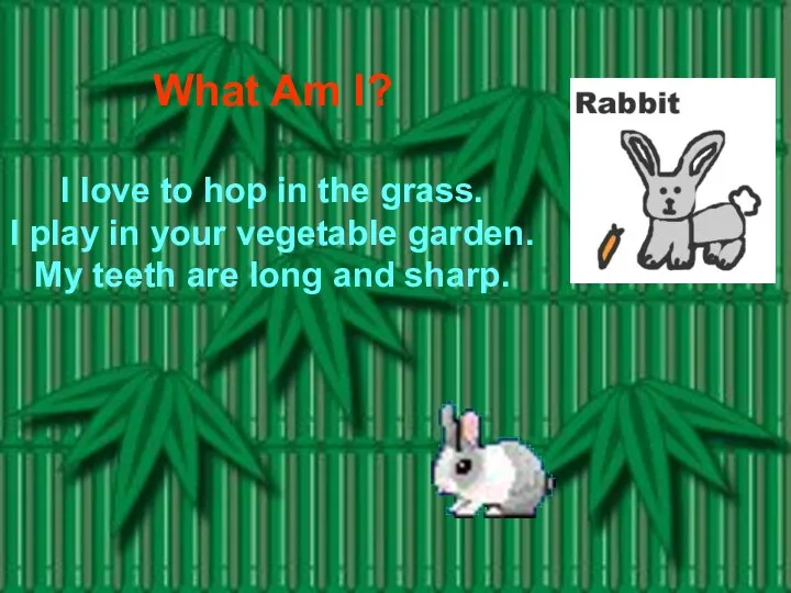 What Am I? I love to hop in the grass.