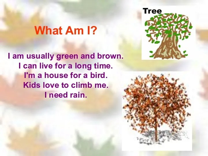 What Am I? I am usually green and brown. I