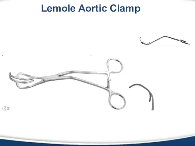 Lemole Aortic Clamp
