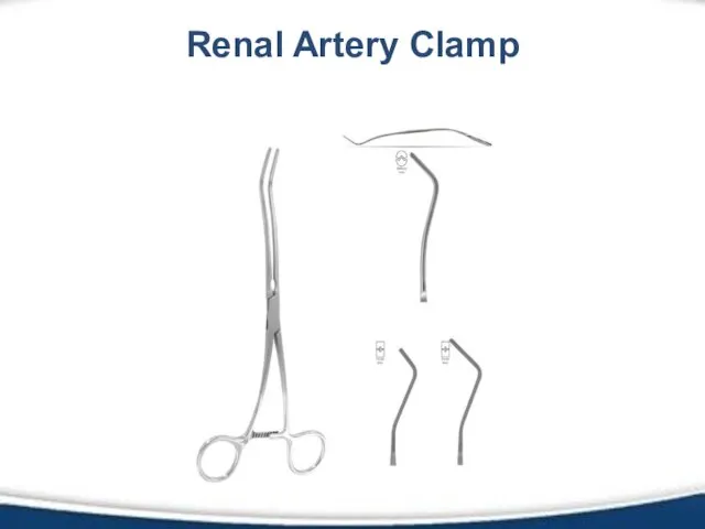 Renal Artery Clamp
