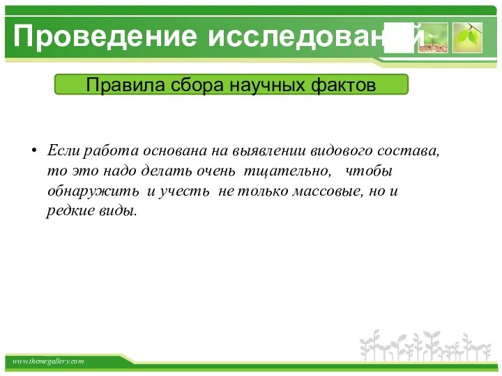 Проведение исследований Если работа основана на выявлении видового состава, то