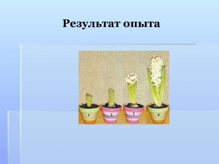 Результат опыта