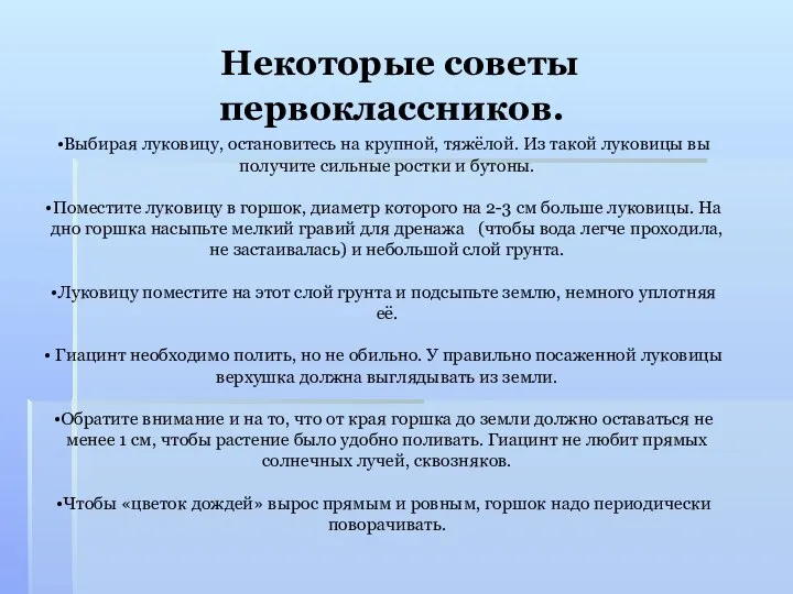 Некоторые советы первоклассников. Выбирая луковицу, остановитесь на крупной, тяжёлой. Из