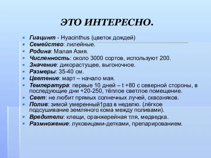 ЭТО ИНТЕРЕСНО. Гиацинт - Hyacinthus (цветок дождей) Семейство: лилейные. Родина: