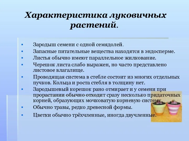 Характеристика луковичных растений. Зародыш семени с одной семядолей. Запасные питательные