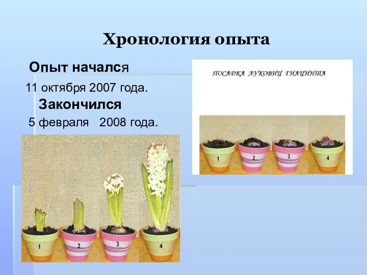 Хронология опыта Опыт начался 11 октября 2007 года. Закончился 5 февраля 2008 года.