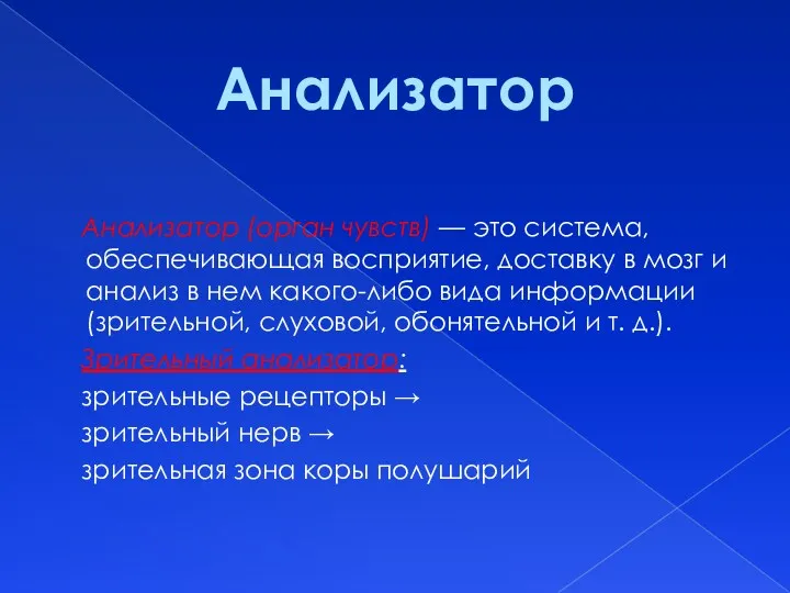 Анализатор (орган чувств) — это система, обеспечивающая восприятие, доставку в