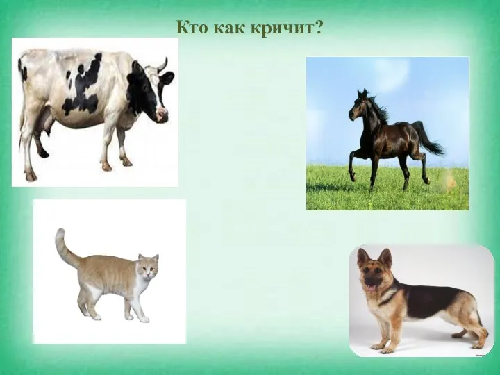 Кто как кричит?