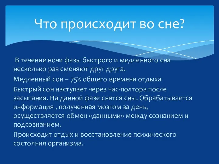 В течение ночи фазы быстрого и медленного сна несколько раз