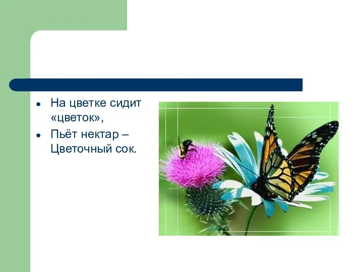 На цветке сидит «цветок», Пьёт нектар – Цветочный сок.