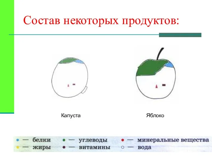 Капуста Яблоко Состав некоторых продуктов: