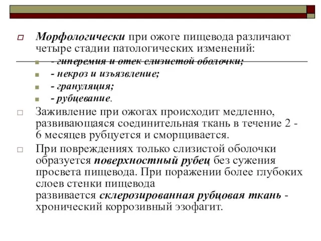 Морфологически при ожоге пищевода различают четыре стадии патологиче­ских изменений: -