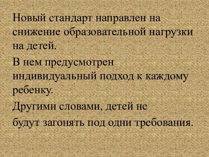 Новый стандарт направлен на снижение образовательной нагрузки на детей. В