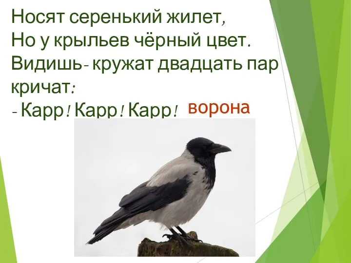 Носят серенький жилет, Но у крыльев чёрный цвет. Видишь- кружат двадцать пар кричат: