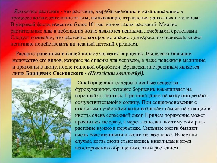 Ядовитые растения - это растения, вырабатывающие и накапливающие в процессе