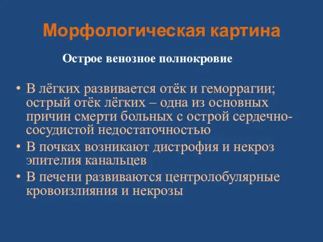 Морфологическая картина Острое венозное полнокровие В лёгких развивается отёк и