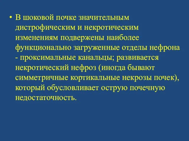 В шоковой почке значительным дистрофическим и некротическим изменениям подвержены наиболее