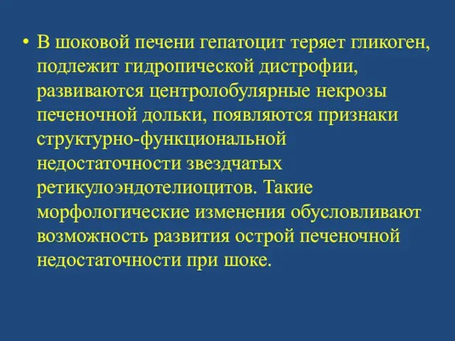 В шоковой печени гепатоцит теряет гликоген, подлежит гидропической дистрофии, развиваются