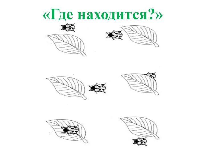 «Где находится?»