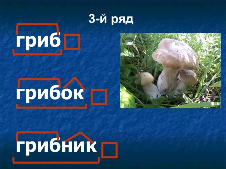 гриб грибок грибник 3-й ряд