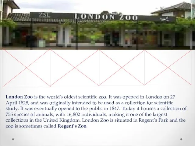 London Zoo is the world's oldest scientific zoo. It was