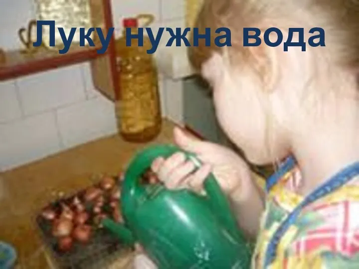 Луку нужна вода