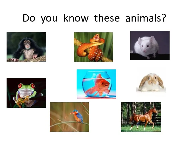 Do you know these animals?