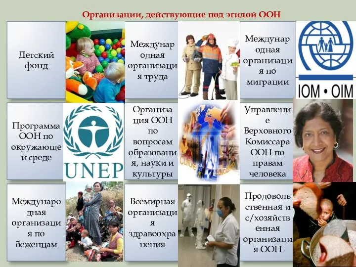 Детский фонд Международная организация по миграции Международная организация труда Международная организация по беженцам