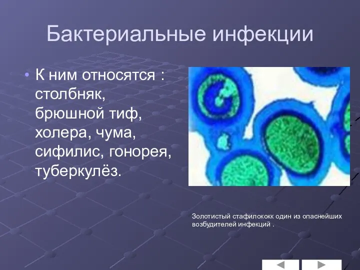 Бактериальные инфекции К ним относятся : столбняк, брюшной тиф, холера,