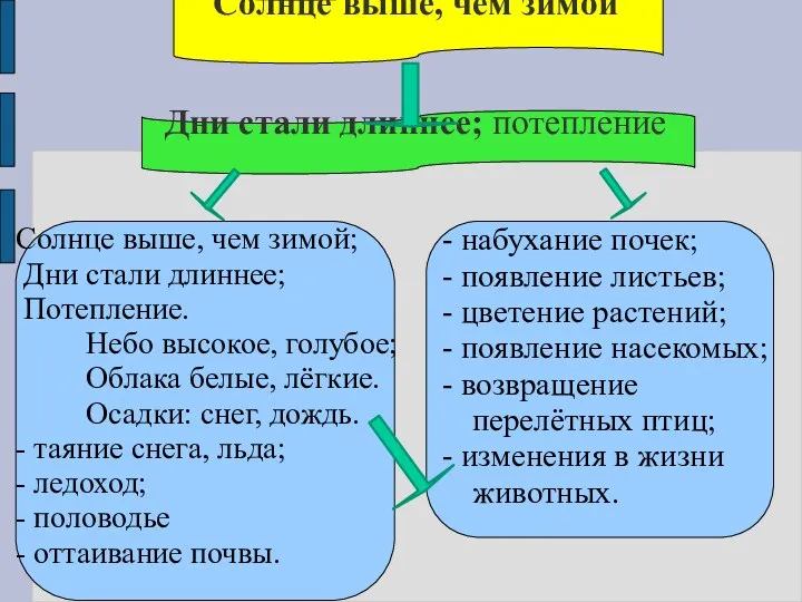 Солнце выше, чем зимой Дни стали длиннее; потепление Солнце выше, чем зимой; Дни