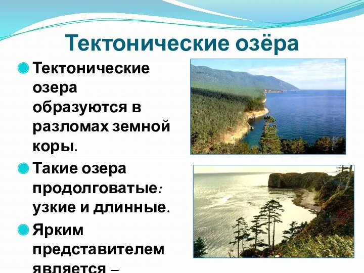 Тектонические озёра Тектонические озера образуются в разломах земной коры. Такие озера продолговатые: узкие