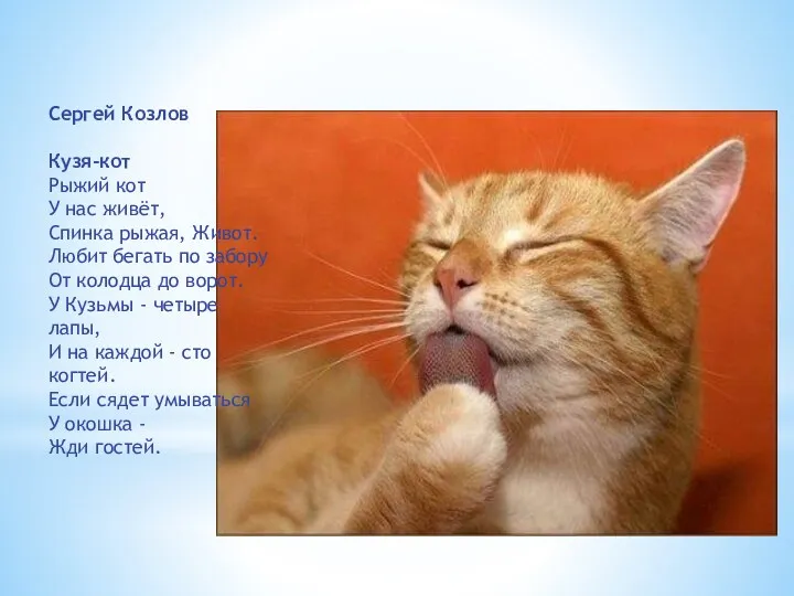 Сергей Козлов Кузя-кот Рыжий кот У нас живёт, Спинка рыжая,