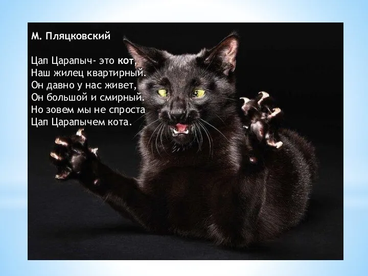 М. Пляцковский Цап Царапыч- это кот, Наш жилец квартирный. Он
