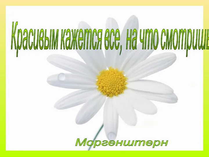 Красивым кажется все, на что смотришь с любовью. Моргенштерн